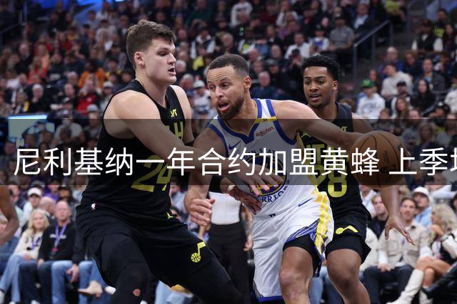 尼利基纳一年合约加盟黄蜂 上季场均得分仅2.9分